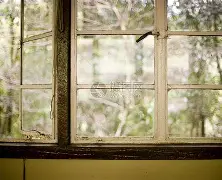 窗口期法国杯传出新动向，浙江队调整名单，管理层表态——目标明确，球探报告显示潜力的简单介绍