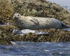 豱?jhY?dmk€鶼SЦR^p罴淭勈的简单介绍-九游网页版